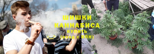 PSILOCYBIN Осташков