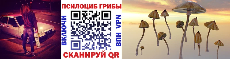 даркнет сайт  Дигора  hydra вход  Псилоцибиновые грибы Psilocybe 