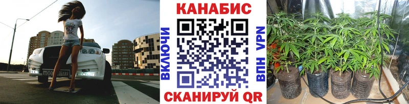 Бошки Шишки планчик  Дигора 